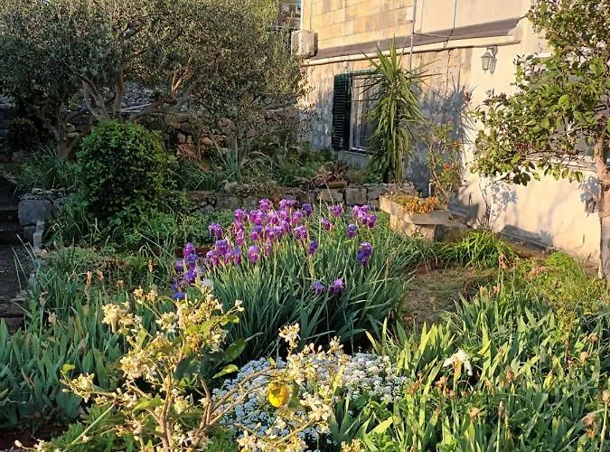 Lägenhet Karlana - Centar