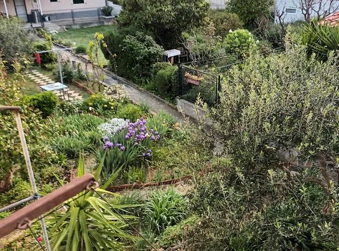 Karlana - Centar 斯普利特